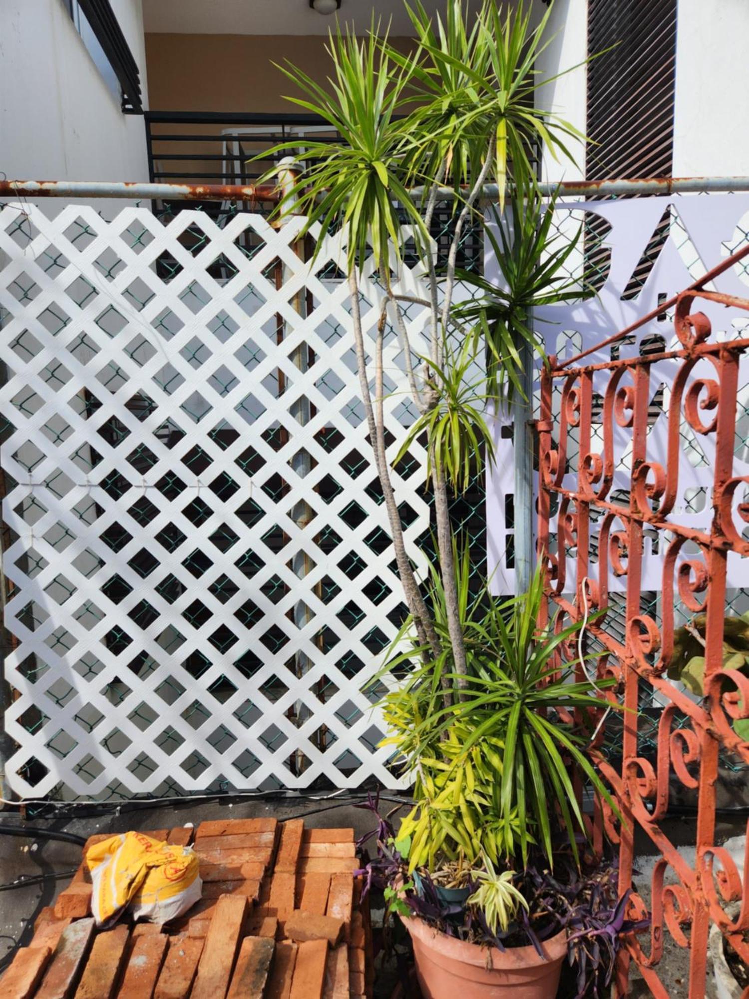 Fabulous Rooftop 2 Colonial Room For 4 산토도밍고 객실 사진